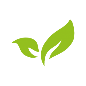 Veganos y vegetarianos